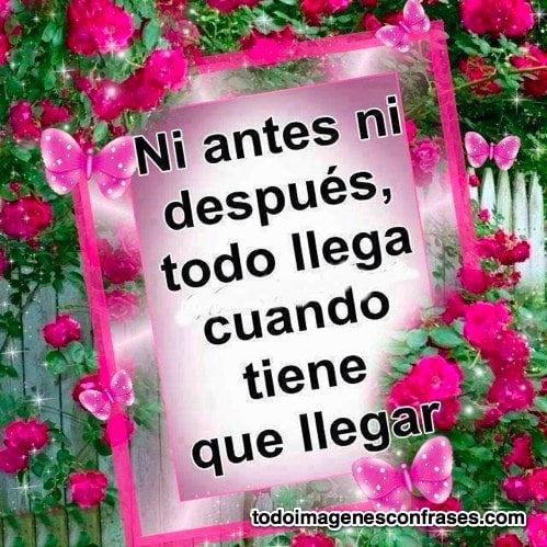 Imágenes con frases: Todo llega cuando tiene que llegar